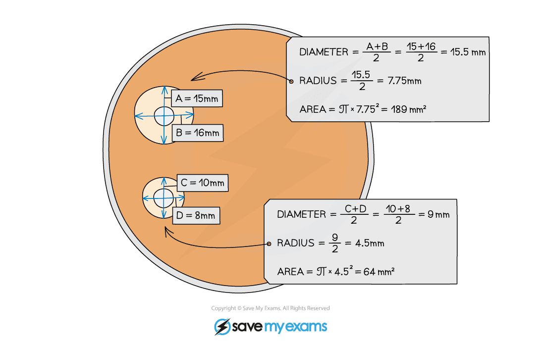 1.1.7 Calculating zones of inhibition