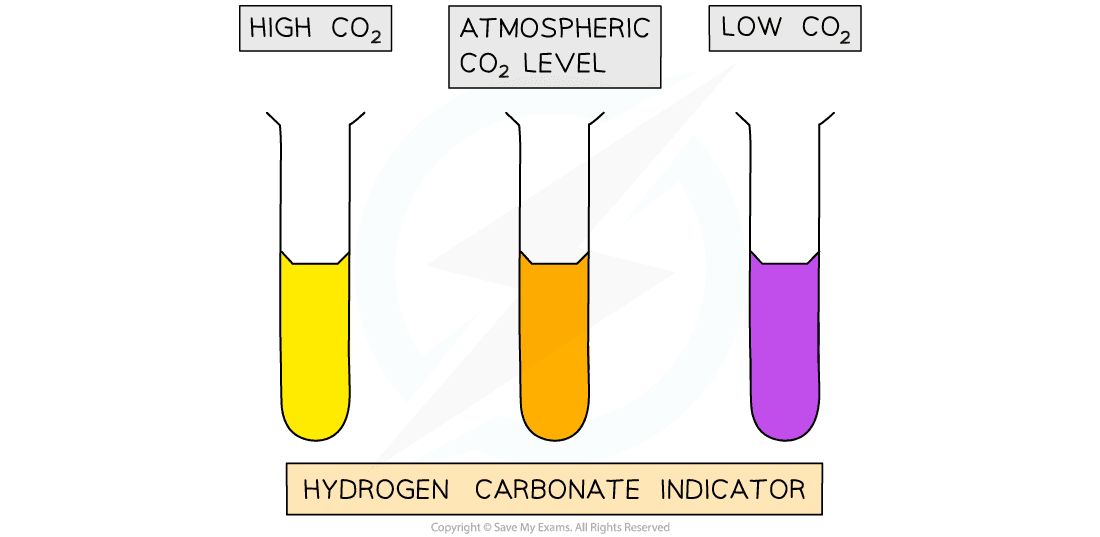 Hydrogencarbonate indicator