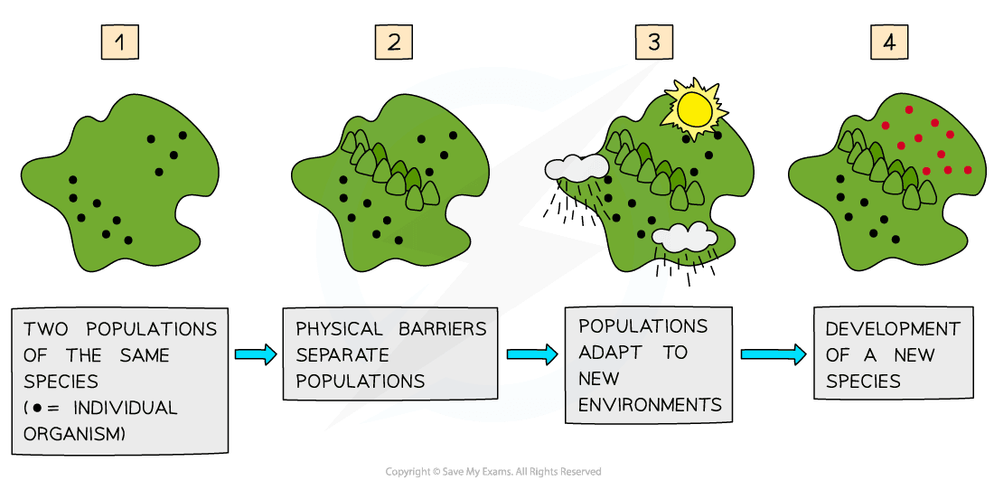 Speciation