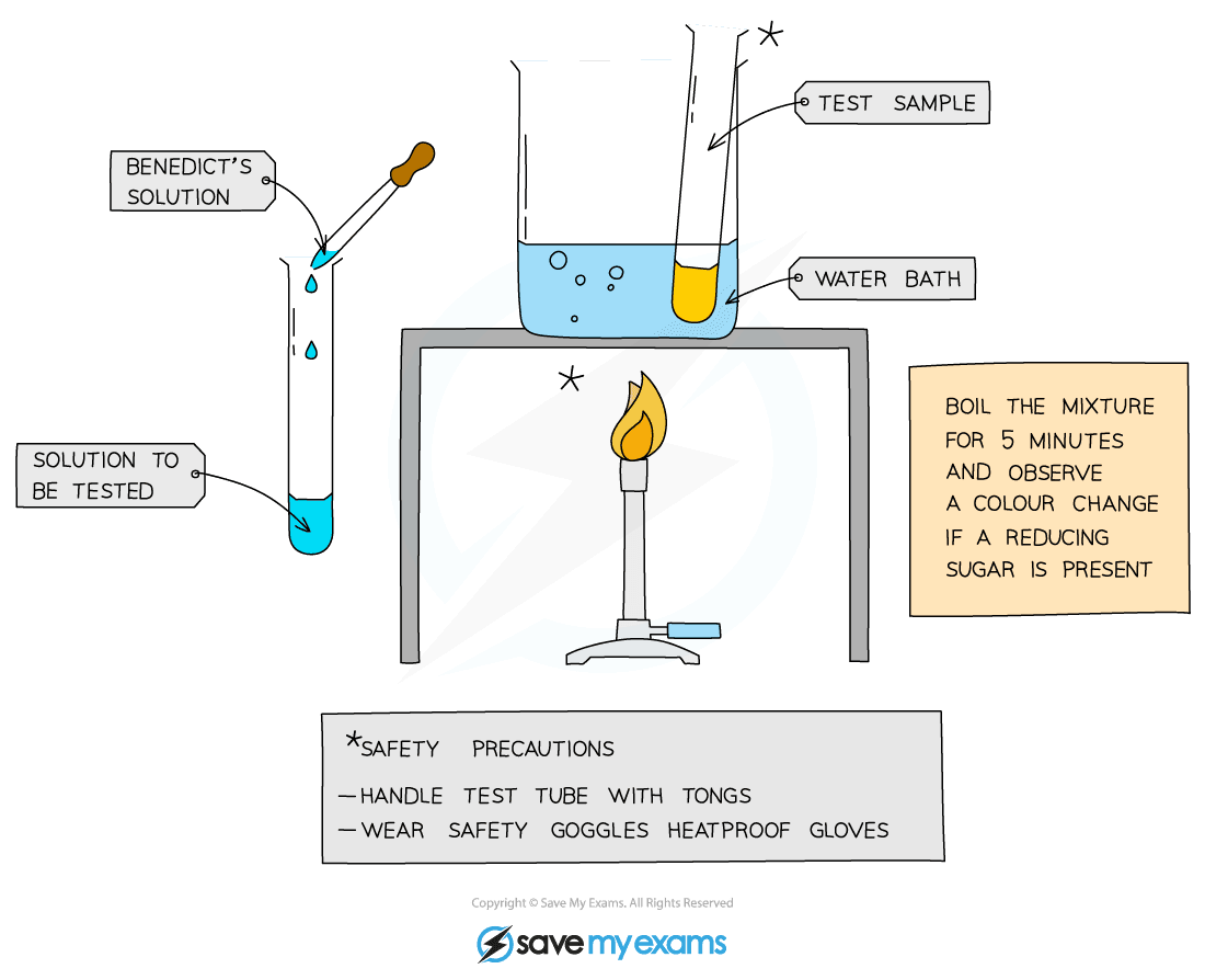 The Benedicts test for glucose