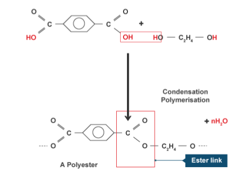 Condensation and Natural Polymers
