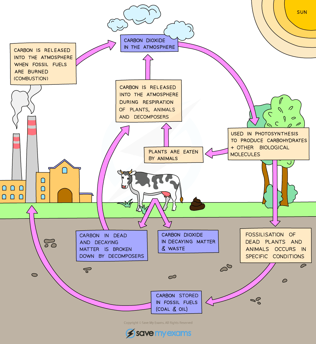 10 Cars Planes And Factories Affect The Carbon Cycle By