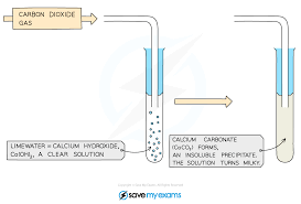 carbonates